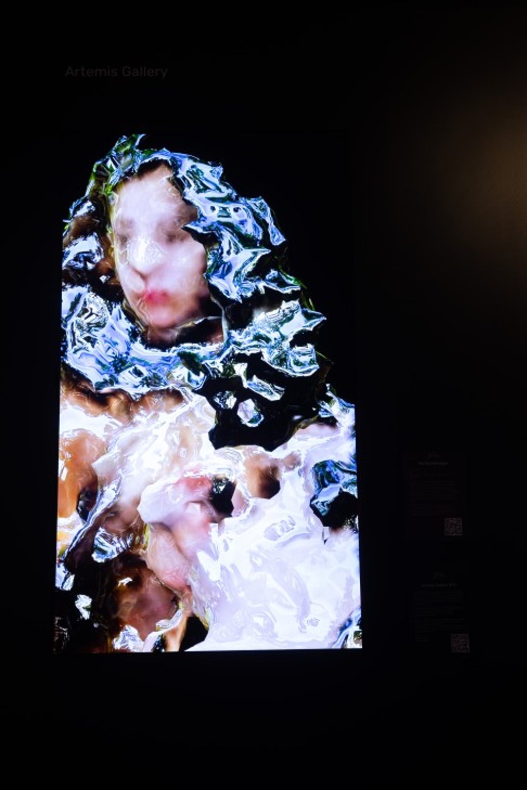 Martina Menegon’s video installation UNTOUCHED 257842, 2022 displayed at Digital Art Fair Xperience.